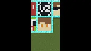 Minecraft Satisfying Duckio Skin #24: 