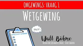 Q1 ROL VAN SETAs