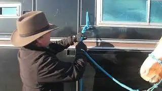How to tie your horse to a trailer (horizontal & vertical D's) WITHOUT threading your rope through.