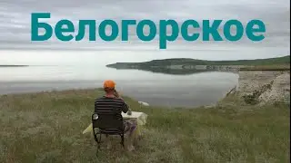 Белогорское. Кемпинг на Волге. Саратовская обл.