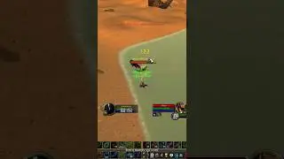 ⚡️1v1 T3 BiS Naxx hunter - World PvP⚡️#worldofwarcraft #wowclassic #classicwow #gaming #pvp #druid