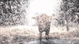 Slava's Snow Show - Official TV Commercial [HD]