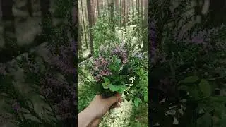 Лесной букетик ))