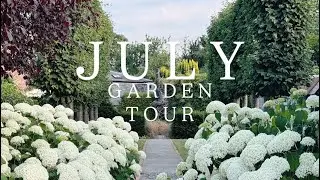 A Golden Hour Garden Walk, where Hydrangea ‘Annabelle’ steals the show!