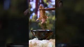 Cutest Video on the Internet today!