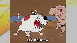 cartoon funny memes video