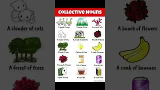 Collective nouns