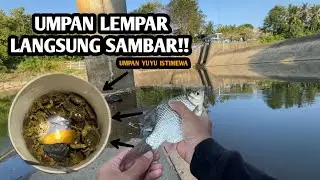 Thrown bait, instantly grabbed!! Fishing for bader and wader using the kumbul technique
