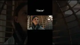 ТОП-5 фильмов про СОБАК  #кино #avengers #фильм #trailer #film #edm #фантастика #music #top #marvel