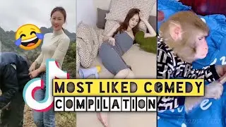 Memes and the TIK TOK Compilations (Most liked Comedy)