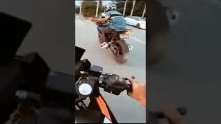 #raja