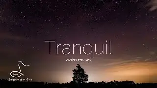《30min》Tranquil｜Peaceful music for stress relief｜relaxing, healing, meditation, deep sleep