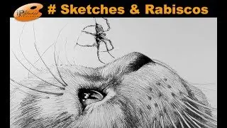 Gato em nanquim - Sketches & Rabiscos - Curso de Desenho Online IPStudio