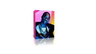 TRAP LOOP KIT 2019 
