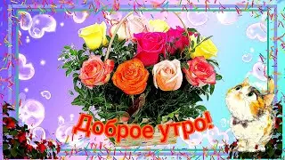 ДОБРОЕ УТРО! ВОТ И ОСЕНЬ. КРАСОЧНЫЙ, ВОЛШЕБНЫЙ, МУЗЫКАЛЬНЫЙ РОЛИК ❤️🥰