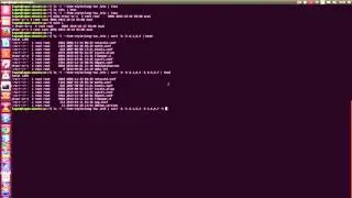 Linux sort command demo