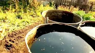 РАСТОПКА ЧЁРНОЙ БАНИ.