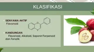 Antioksidan Alami