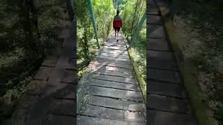 Плесеевские водопады