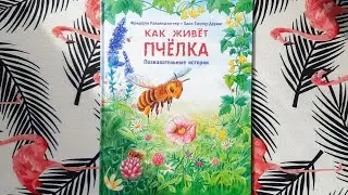 Фридерун Райхенштетер "Как живёт пчелка"