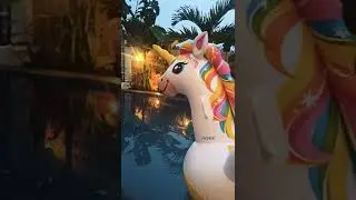 BALI POOL VILLA PURWOKERTO