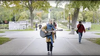 Loneliness - The Fall Line