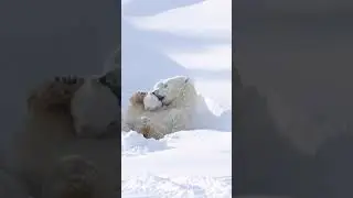 Самые нежные объятия ❤