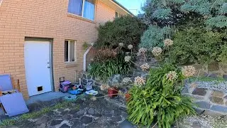 Will we be able to Fix this Disaster | Huge Overgrown Garden! (Part 1)