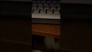 Кусь подстерегает на каждом шагу...