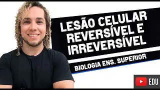 LESÃO CELULAR REVERSÍVEL E IRREVERSÍVEL  - Biologia com Patrick Gomes