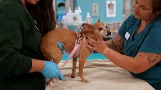 Special reunion after San Diego flooding