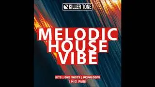 Melodic House Vibe Samplepack