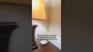 My dog won’t wake up!