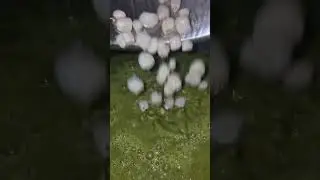 Cuando te pones a cocinar Pozole Verde en tu @Essen Mexico  y ahora toca esperar a que se enfríe