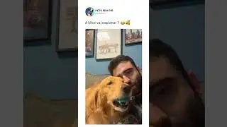 A kika: vai explanar ? ❤️🐶