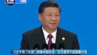 习包子: 大海