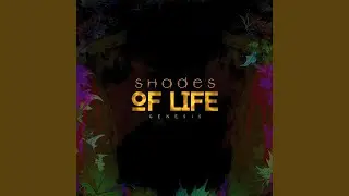 The road we took (Remix)