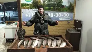 Ловлю форель на  спиннинг. РК Посейдон. Вип зона. Spinning trout.