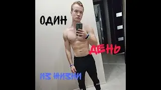 Один день из моей жизни