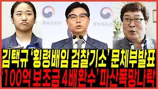 김택규 협회장 무더기 위법적발 "결국 안세영 승리" 문체부 발표터지다 / 횡령배임죄 "100억 보조금 4배징수"