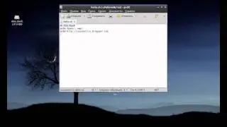 Bash: Введение в bash