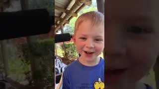 Legoland 2019 - Safari