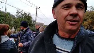 Де брати надійний посадковий матеріал - персики,,абрикоси,сливи і.т.д.? Відповідаю .Я собі беру тут.