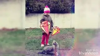 Тайсон на прогулке😺👸😹