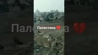 Палестина