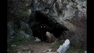 Crawling through a cave... of flesh? | Those Who Crawl