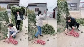 Attack from behind and take away the sweet potatoes｜New Funny and Fail Videos 2024 | Part41