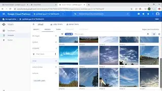 TUTORIAL | Auto ML | VISION | Build Machine learning model to classify Image without Code in GCP