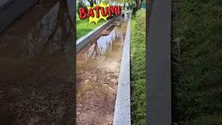 Batumi после шторма