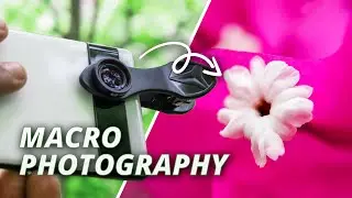 Macro Mobile Photography  ( Apexel 12 - 24X macro lens )